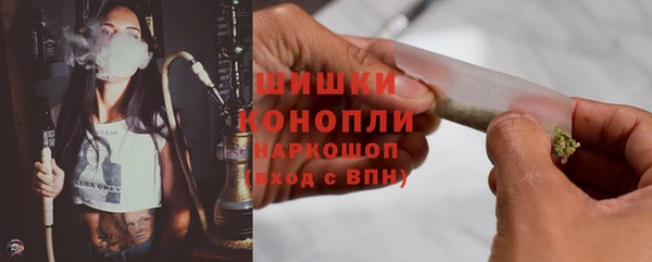 гидра Пересвет