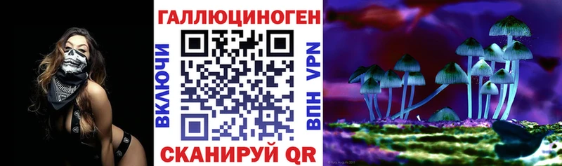 закладки  omg вход  Псилоцибиновые грибы Psilocybine cubensis  Грязовец 